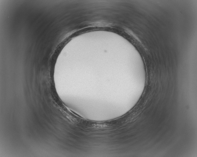 X0000082751315200702161949