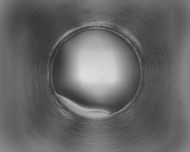X0000082751316200702161949