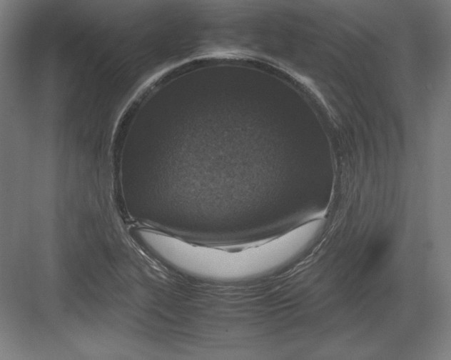 X0000082751319200702161949