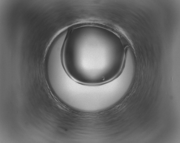 X0000082751320200702161949