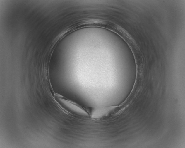 X0000082751321200702161949
