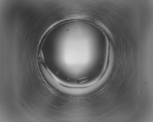 X0000082751324200702161949