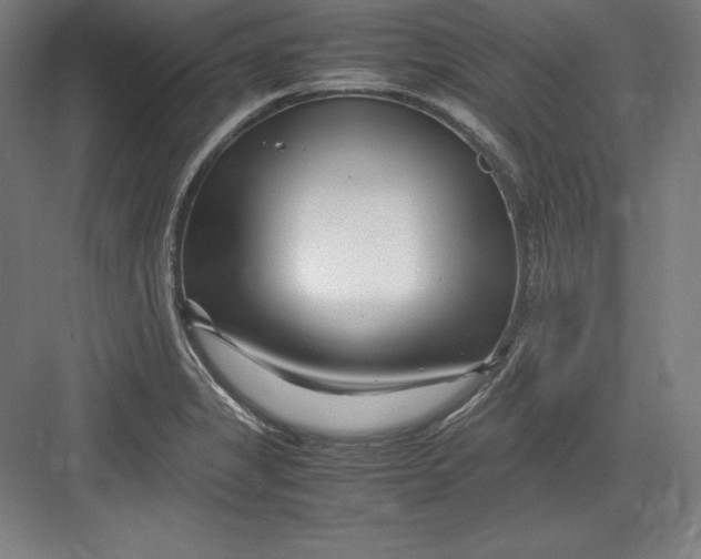 X0000082751325200702161949