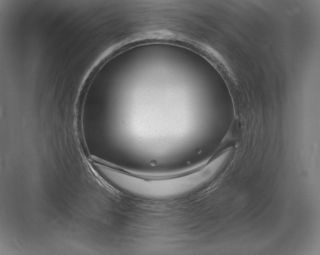 X0000082751326200702161949