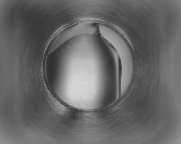 X0000082751330200702161949