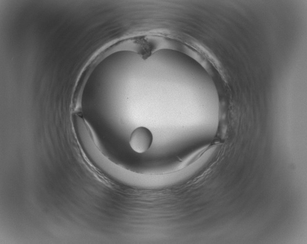 X0000082751332200702161949