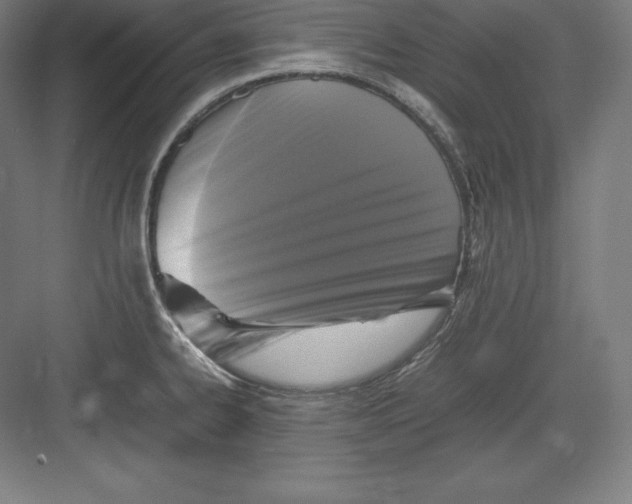 X0000082751334200702161949