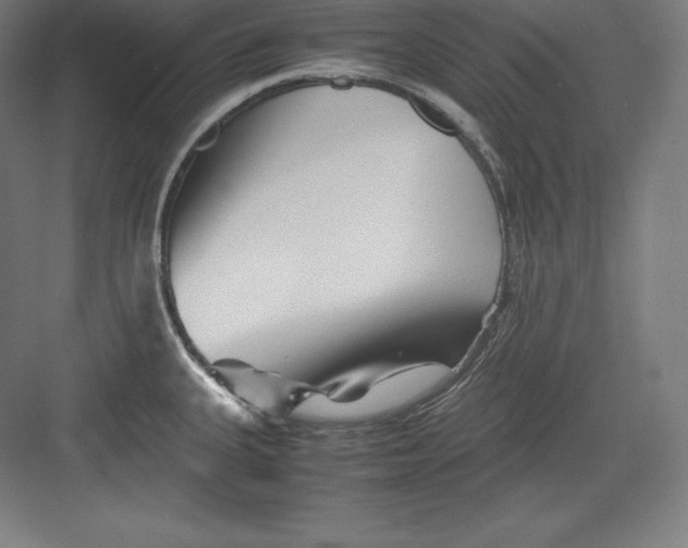 X0000082751335200702161949