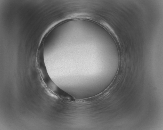X0000082751336200702161949