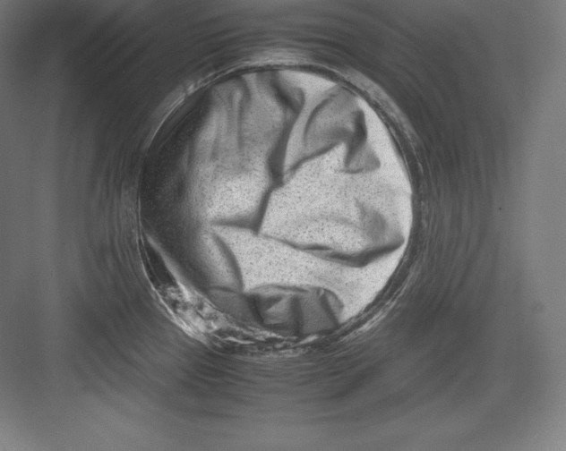 X0000082751337200702161950