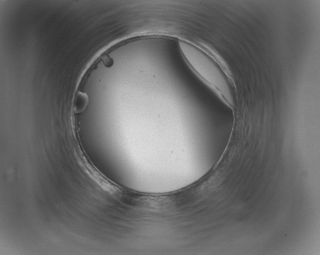 X0000082751340200702161950