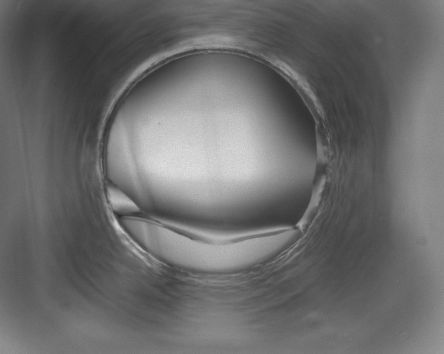 X0000082751342200702161950