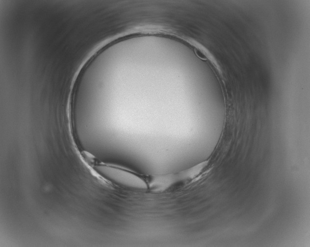 X0000082751343200702161950
