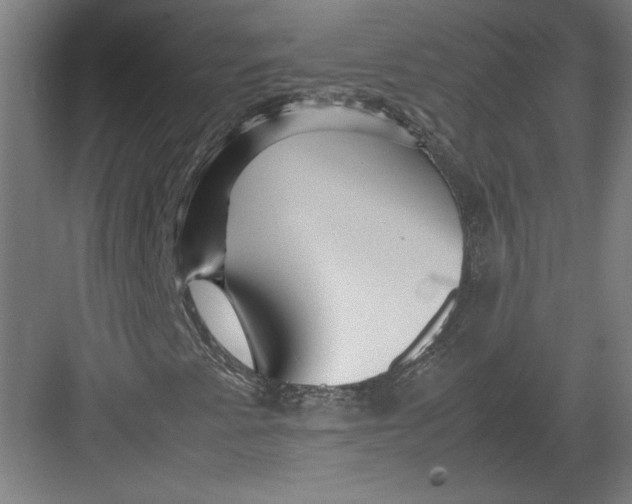 X0000082751345200702161949