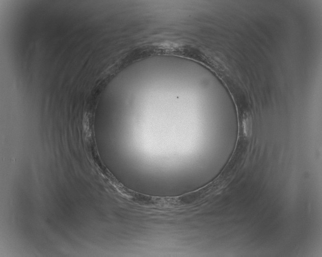 X0000082751347200702161949