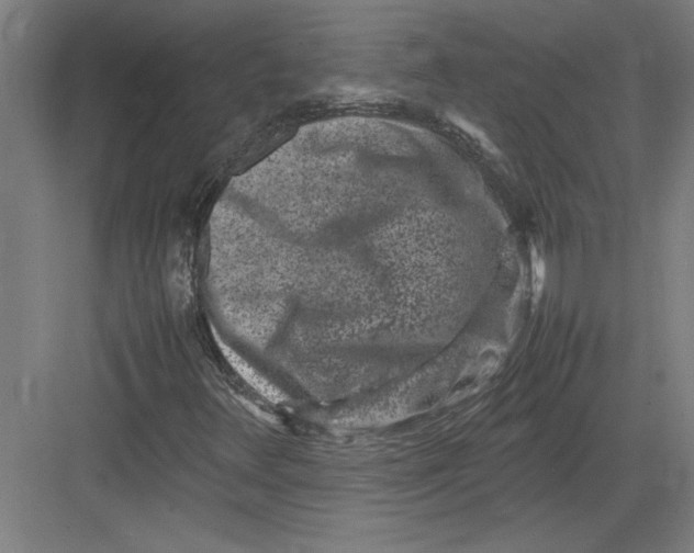 X0000082751348200702161949