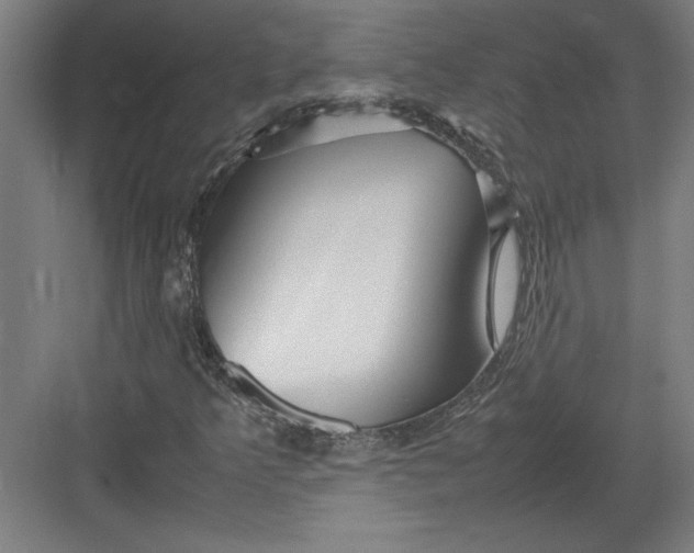 X0000082751349200702161949