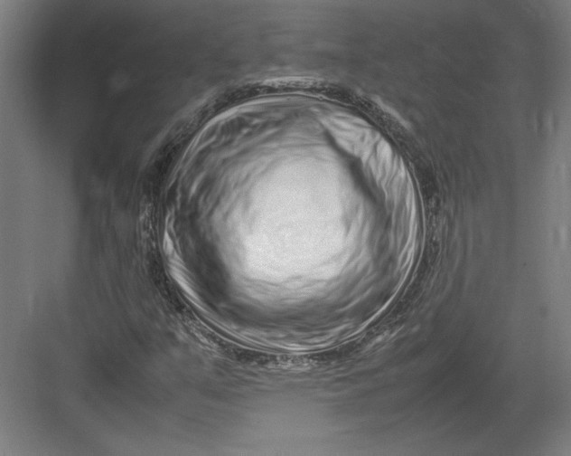 X0000082751351200702161949