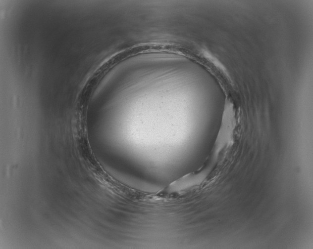 X0000082751352200702161949
