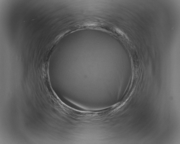 X0000082751353200702161949