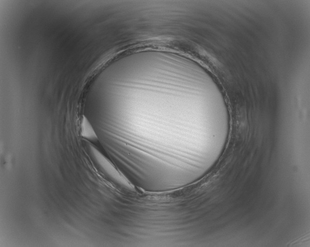 X0000082751354200702161949