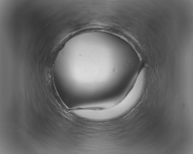 X0000082751355200702161949