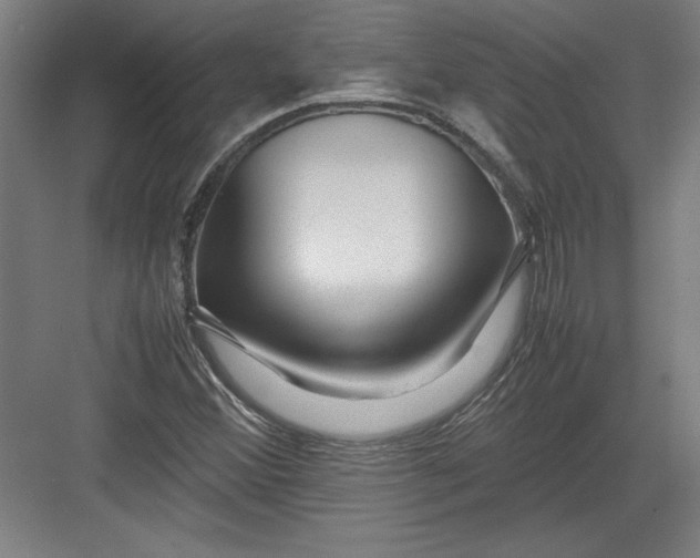 X0000082751356200702161949