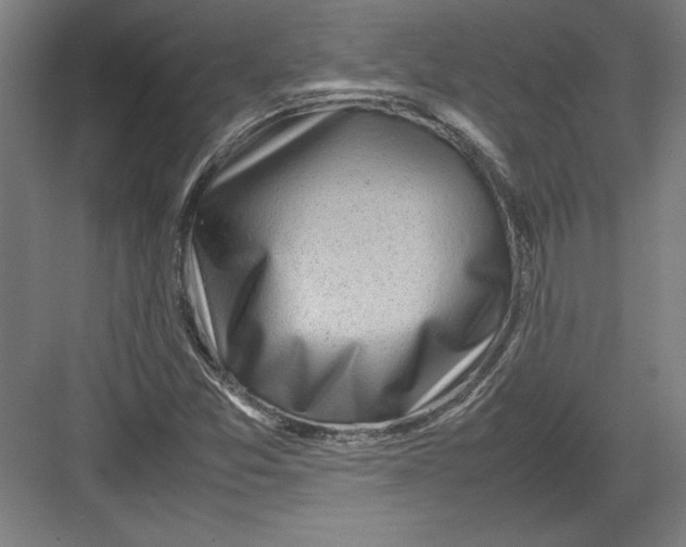 X0000082751357200702161949