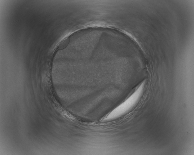 X0000082751359200702161949