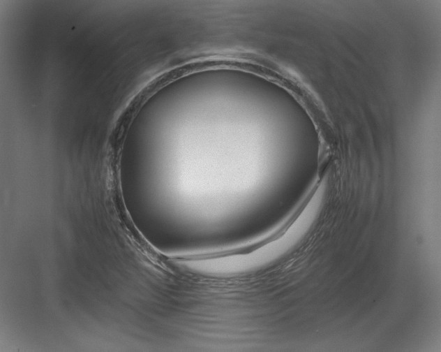 X0000082751360200702161949