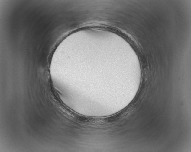 X0000082751363200702161949
