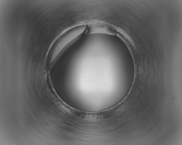 X0000082751364200702161948