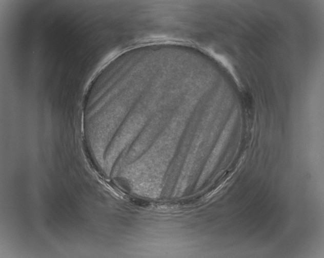 X0000082751365200702161948