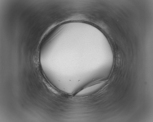 X0000082751366200702161948