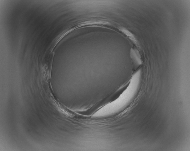 X0000082751369200702161948