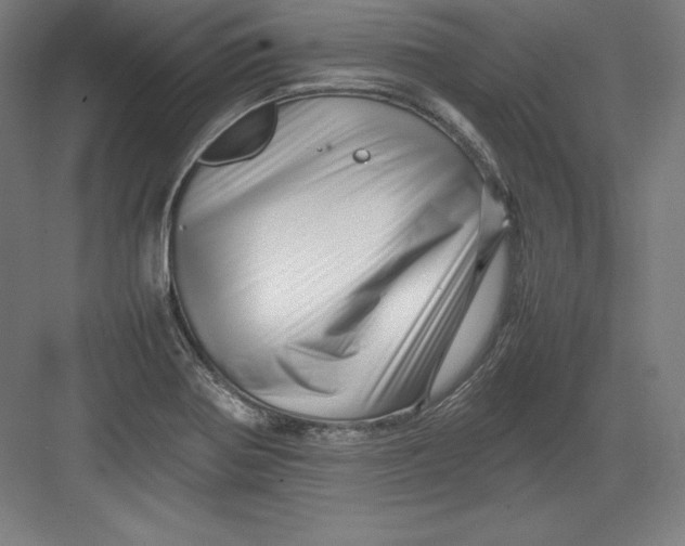 X0000082751370200702161948