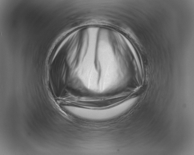 X0000082751371200702161948
