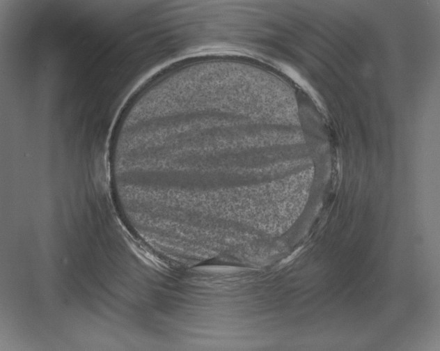 X0000082751372200702161948