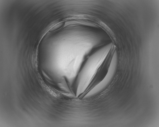 X0000082751378200702161948