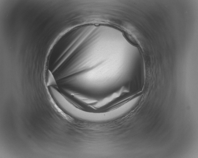 X0000082751379200702161948