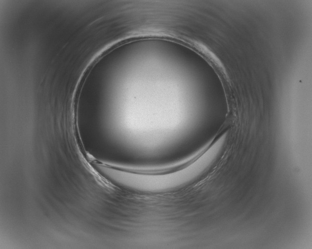 X0000082751380200702161948
