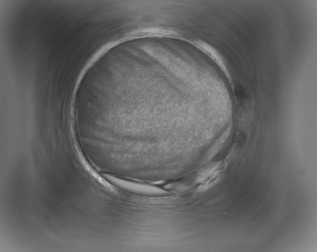 X0000082751381200702161948