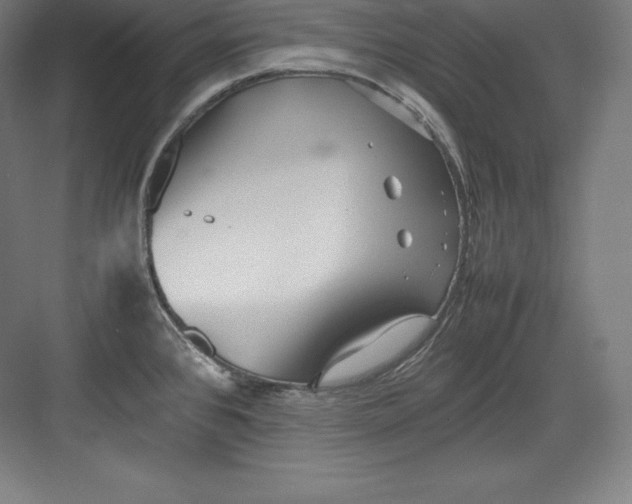 X0000082751384200702161948