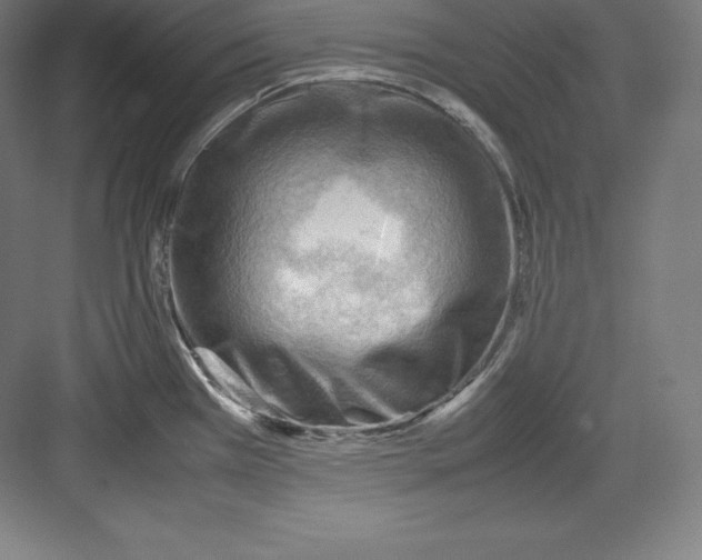 X0000082751385200702161948