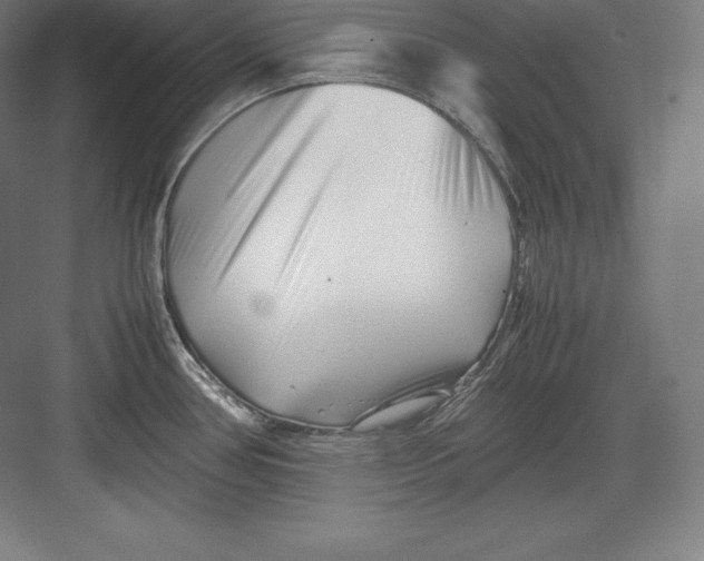 X0000082751386200702161948
