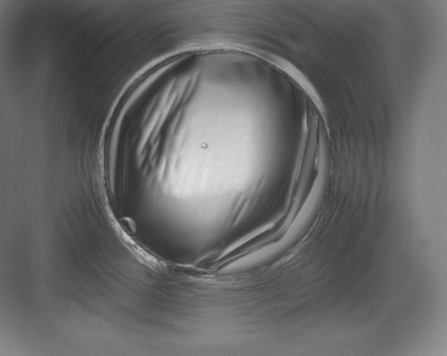 X0000082751388200702161948