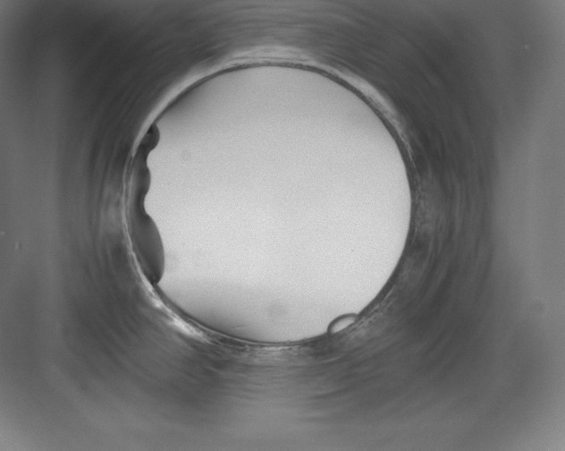 X0000082751390200702161948