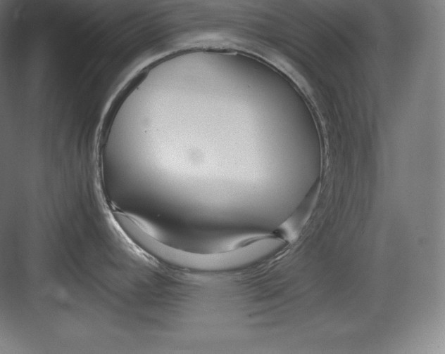 X0000082751392200702161948