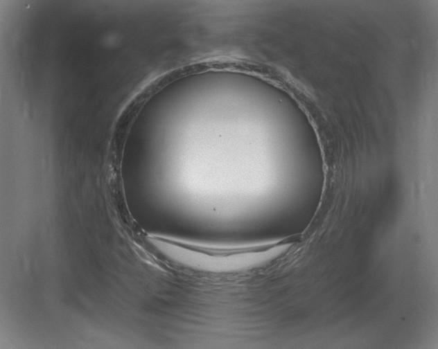 X0000082751400200702161947