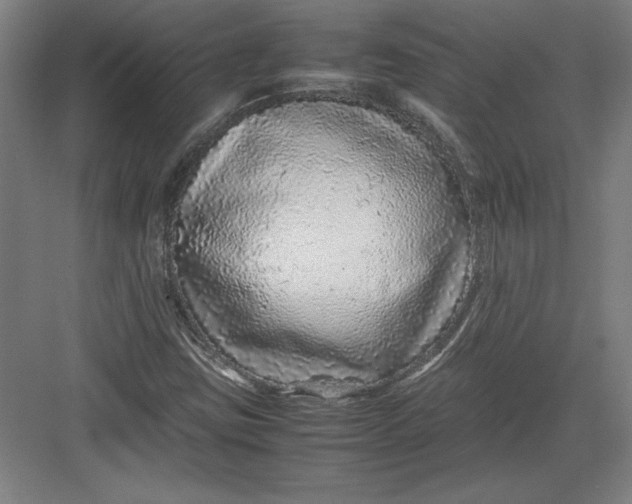 X0000082751403200702161947